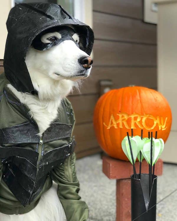 Carter in his Green Arrow costume. Submitted by Facebook user Bethany Vinton.