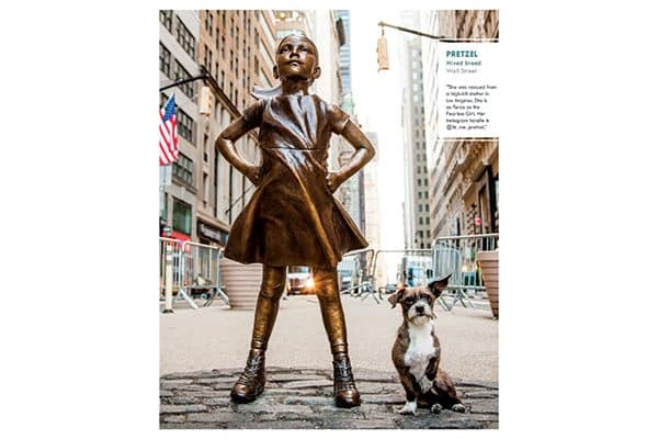 Pretzel, Manhattan, Wall Street.