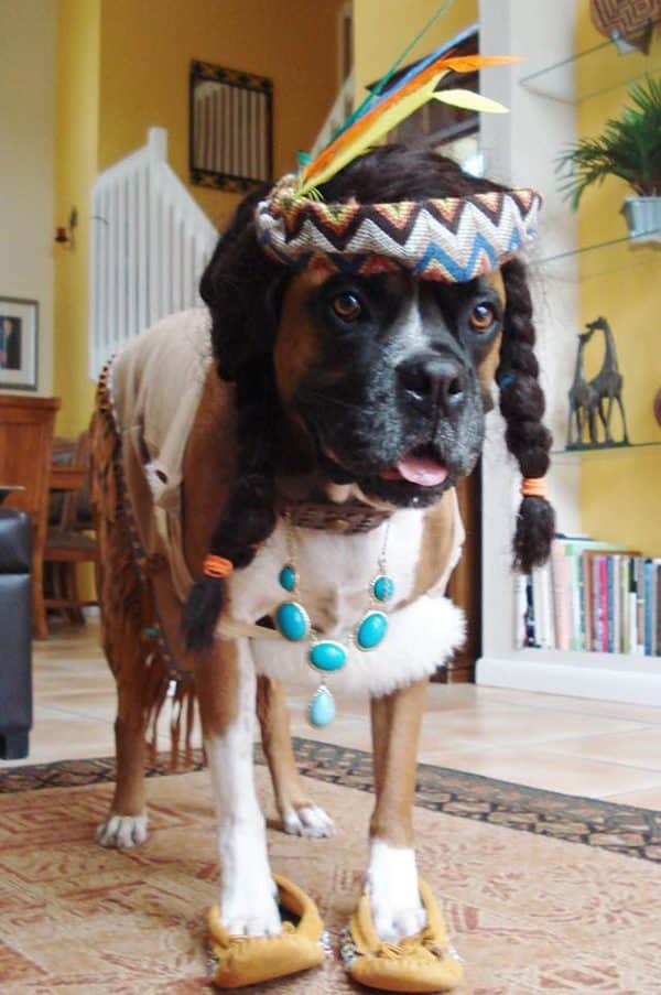 Simba as a Native American. Submitted by Facebook user Stephanie Thompson.