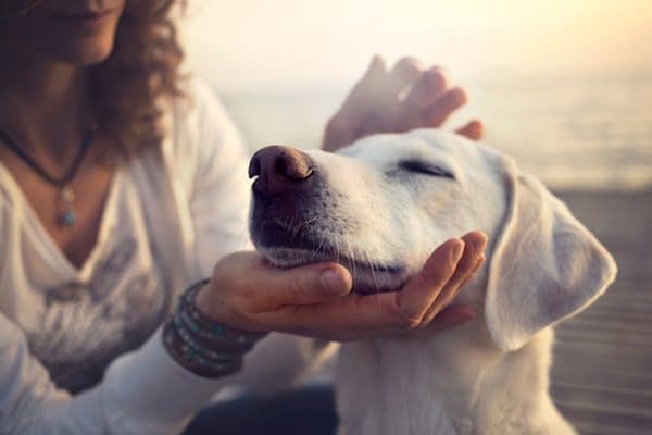 A woman petting a dog on the head. 