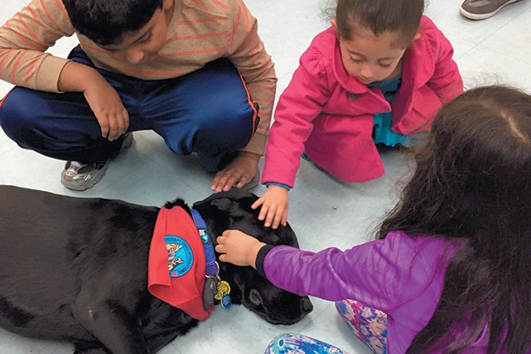 As a certified therapy dog, Dagger has a variety of duties, such as visiting children at a library for the “Read to me Program.”