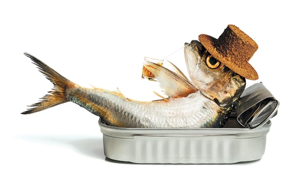 Fish.