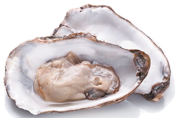 Oysters.