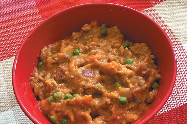 Dog-friendly Savory Stew with Roasted Veggies.