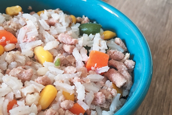 Dog-friendly Turkey-Rice Casserole.