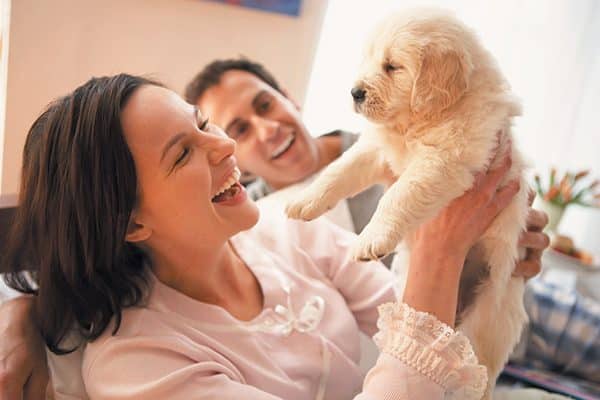 A smiling couple holding up a puppy.