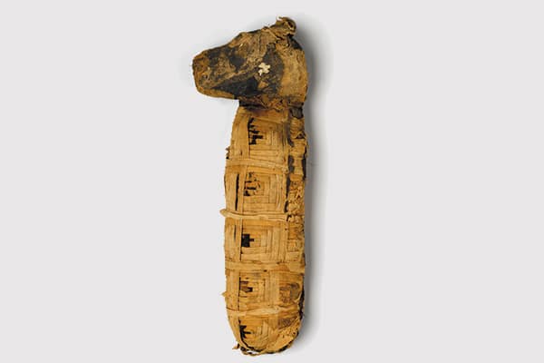 Dog Mummy. Brooklyn Museum; Charles Edwin Wilbour Fund.
