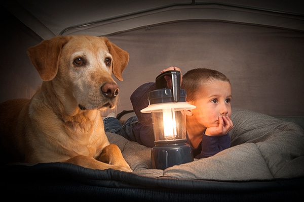 relaxing music for dogs during thunderstorms