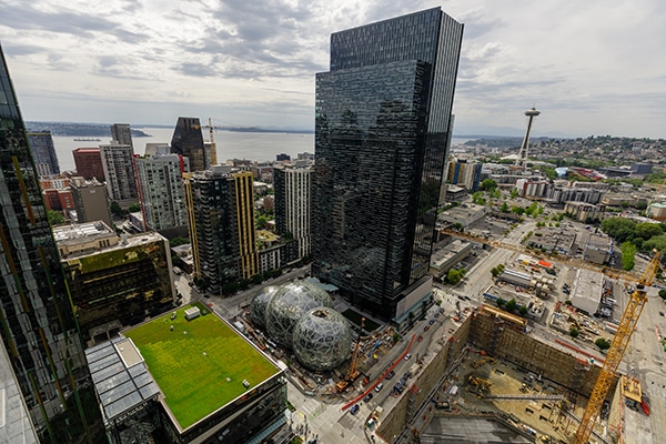 Amazon's Seattle headquarters include a dog park.