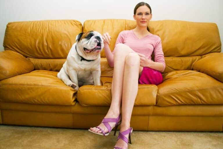 I'm Dating Someone Who Doesn't Like Dogs 6 Tips & Advice Dogster