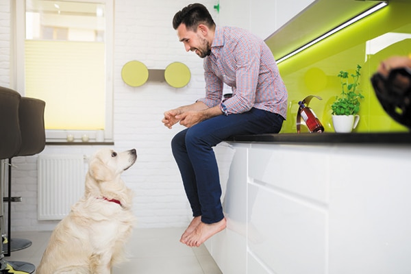 A man sitting on a kitchen counter with a dog in a city apartment.