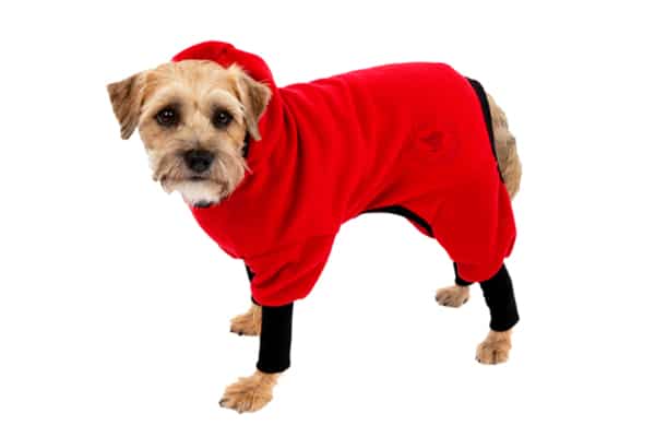 Canine Styles' Polar Fleece Track Suit.