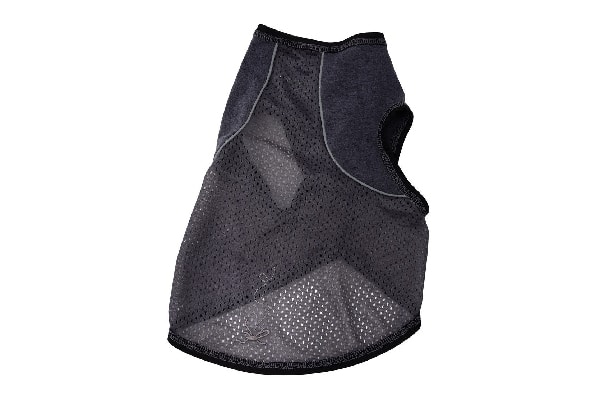 Dog insect-protection coat.