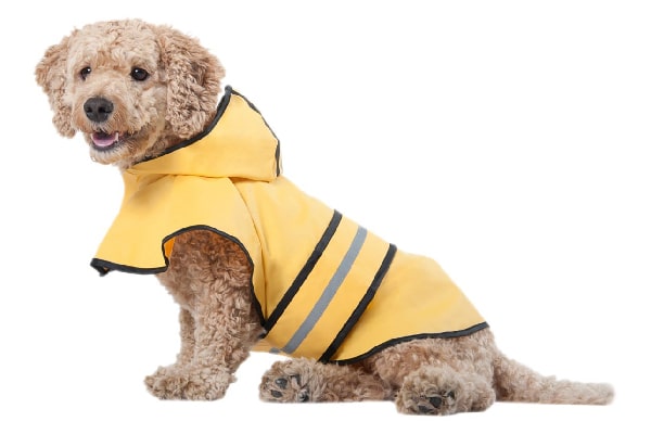 Dog raincoat.