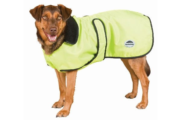 Dog windbreaker.