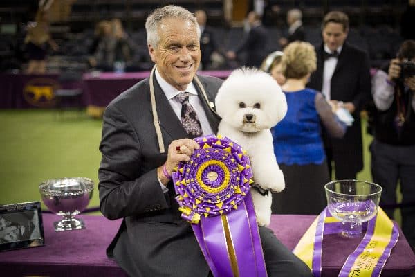 Flynn, the Bichon Frisé who won Best in Show, and his handler.