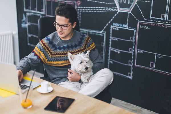 Man at office with dog. 
