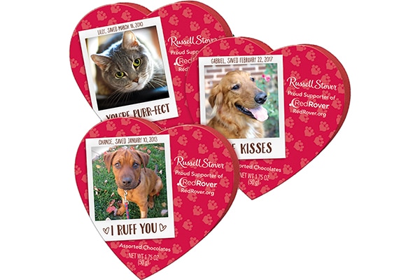 Paws4Love Chocolates.