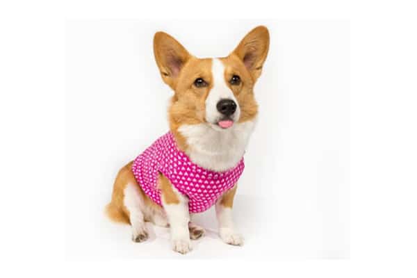 The Sweeter Vest by BossPup.