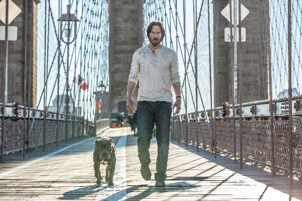 Dog from John Wick 2.