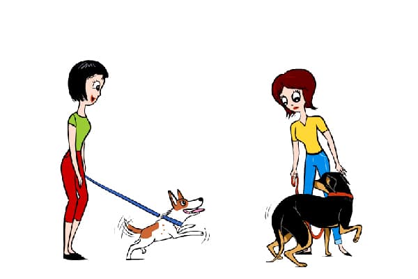 Some dogs are scared of other dogs.