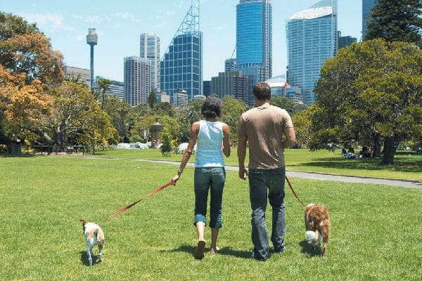 Two people taking their dogs for a walk in a park.