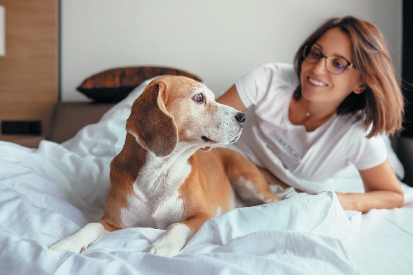 Dog Friendly Hotels To Keep In Mind For Your Summer Vacation