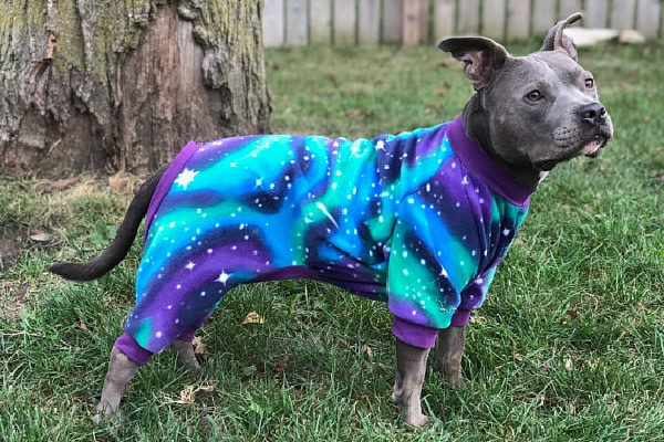 Fleece Dog Pajamas, DonoSews ($35.99). etsy.com/shop/DonoSews https://www.etsy.com/shop/DonoSews https://www.etsy.com/listing/487194906/dog-pajamas-fleece-dog-pajamas-dog-pjs