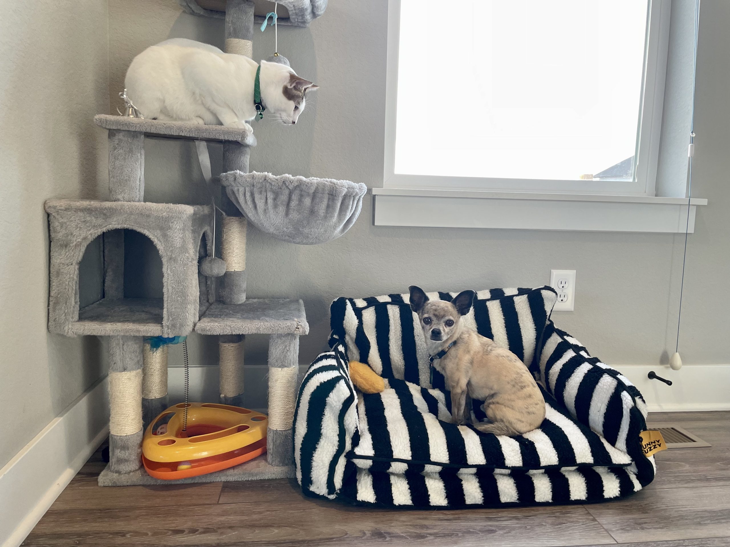 Funny Fuzzy Sofa Dog Cat bed - Black and White Striped