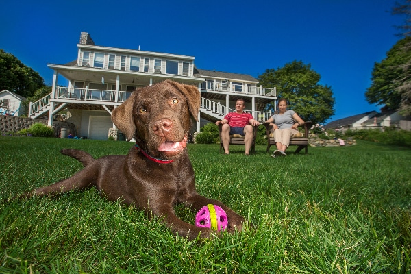 Yard Games Package, Kurgo ($30). kurgo.com https://www.kurgo.com/dog-toys/yard-games-package/
