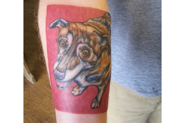 Scott Lorenz Andresen's dog tattoo.