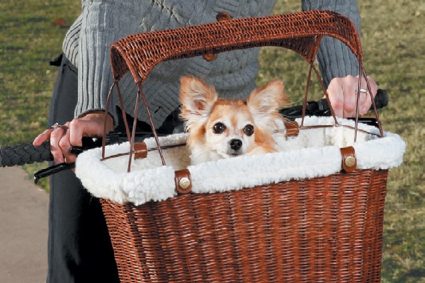 Find the Tres Cool Wicker Tagalong Pet Bicycle Basket at petsafe.com.