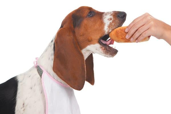  Check the components on the back of the bread bundle prior to providing a little piece to your canine. This part is method too huge! Photography ©© jtyler|Getty Images.