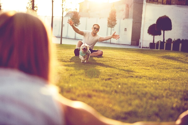 5 Easy Backyard Games for Dogs