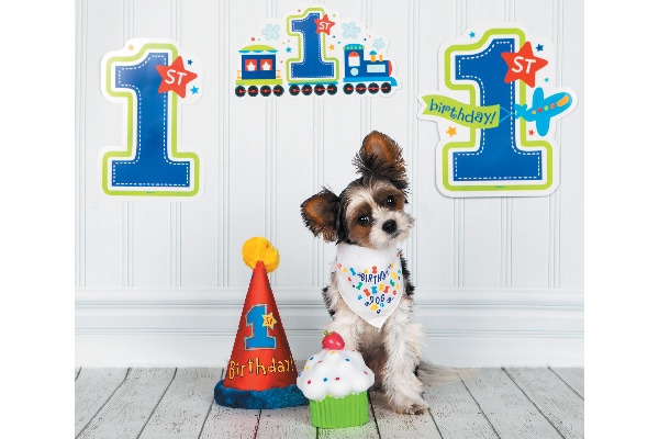 Eat, Drink, Pawty winner— Wally.