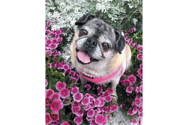Get Your Tongue Out winner — Lida Rose.