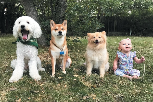 Friends Fur Ever winners — Stinson, Capone, Bear and Neila.