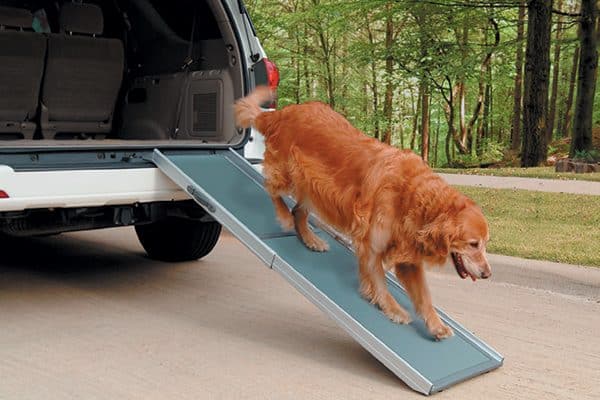 The Deluxe Telescoping Pet Ramp helps dogs get into a car. Photography ©Courtesy PetSafe.