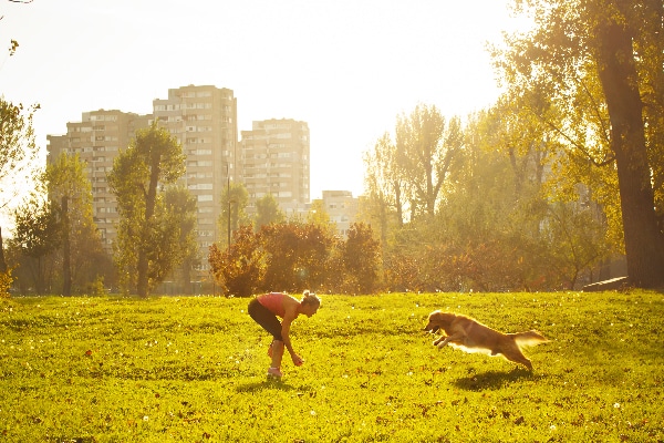 A dog running and playing outside with his human. 