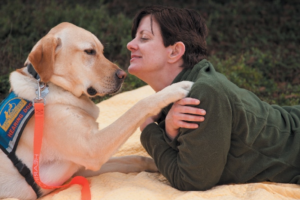 A hearing service dog.