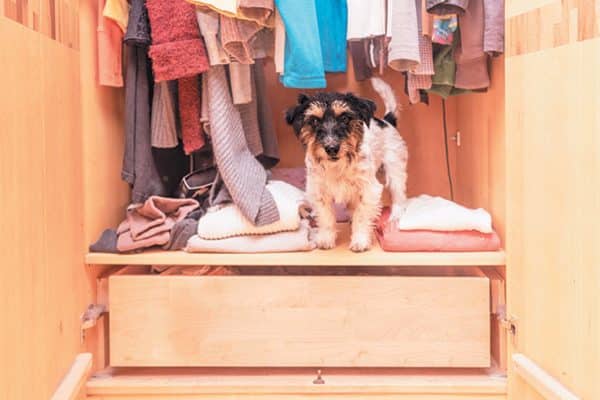 A safe place like a bedroom closet can help ease anxiety. Photography ©K_Thalhofer | Getty Images.