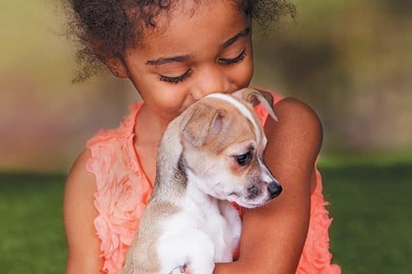 We all love puppies, but when it comes to the reality of living with one, more research makes for a better fit. Photography © adogslifephoto | Getty Images.