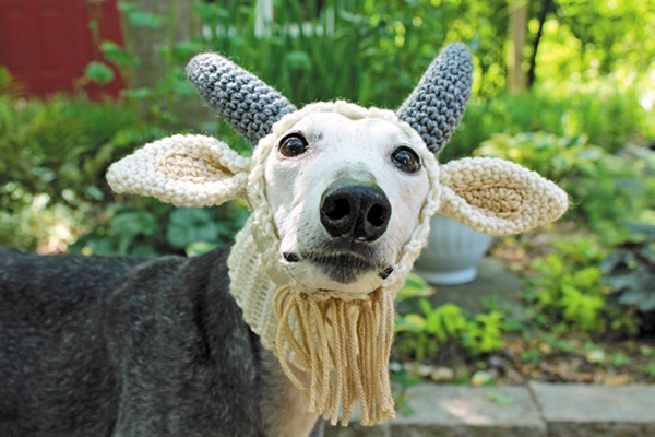 crochet greyhound