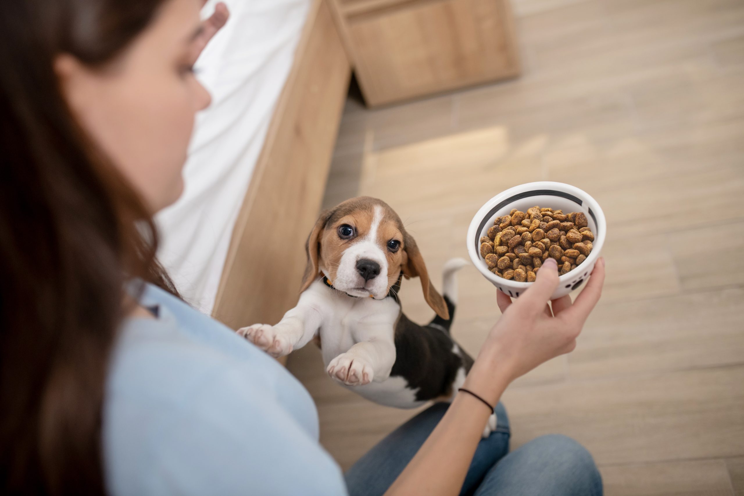 Puppy trying to get a food bowl from their owner