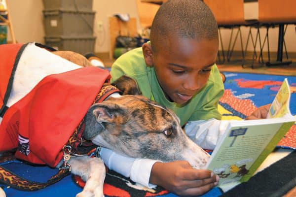You can get your kids involved in volunteering too. Photography Courtesy Intermountain Therapy Animals.