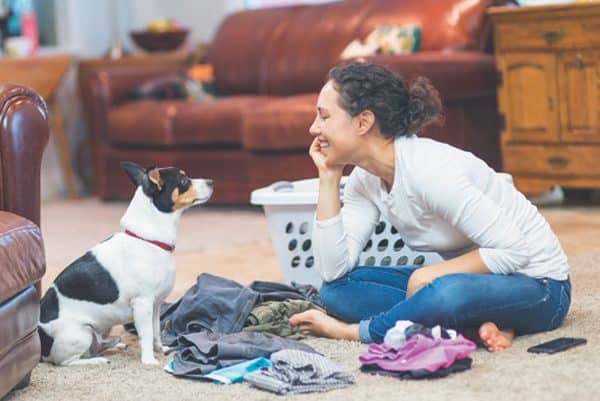 Cover anywhere your pet slumbers with a washable cover. Sofa, chair, bed, floor, etc. Yoga mats make great floor covers and are easy to clean. Photography ©FatCamera | Getty Images.