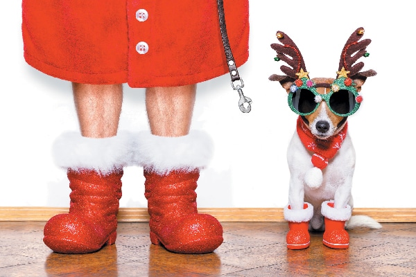 Dog in holiday reindeer outfit with Santa.