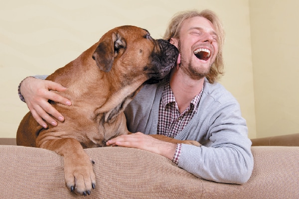 dog's breath smells like sulfur