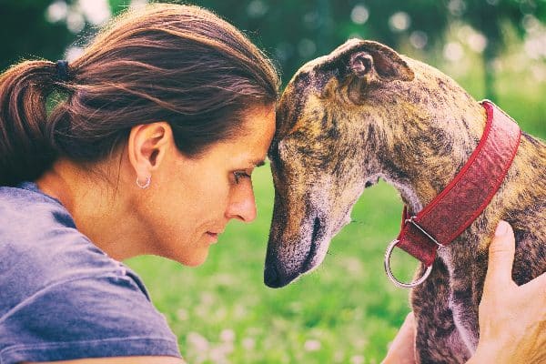 A woman touching heads with a dog, sad and serious.