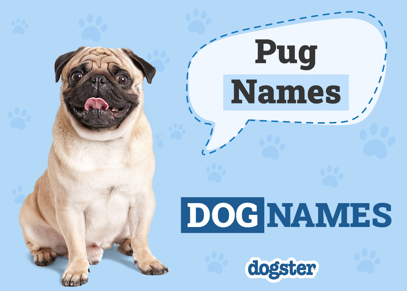 Dogster_Pug Names